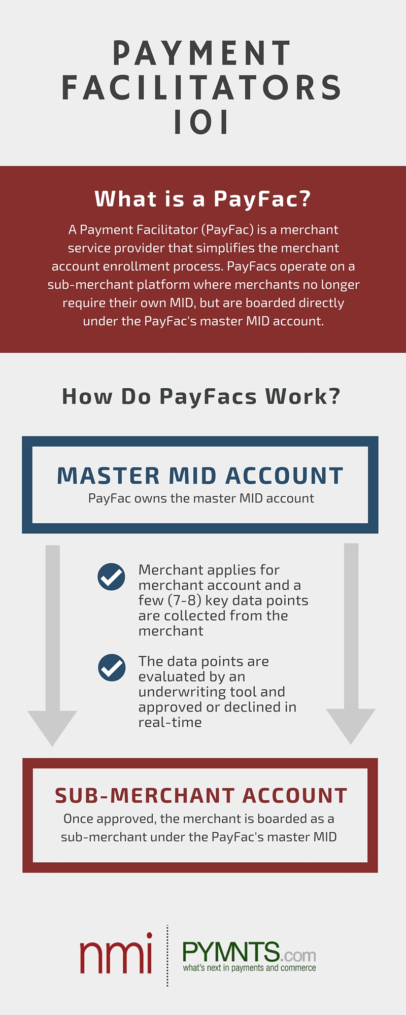 payment-facilitator-payfacs-NMI