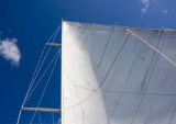 Tradeshift Catches the Wind in its Sails