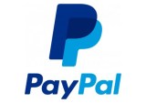 PayPal Sans eBay – Now What?