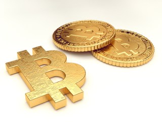 Bitcoin Board Welcomes Two New Members