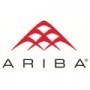 AribaPay Ignites B2B Payments