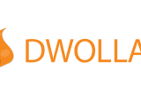 Dwolla Joins Microsoft For Government Payments Pitch
