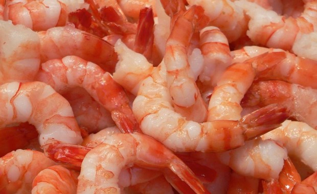 Shrimp, Slavery And Retail’s Ugly Secret