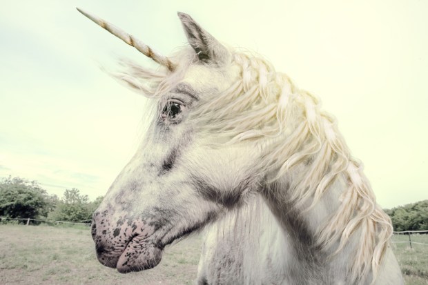 Nutanix Not the Only News for Unicorns