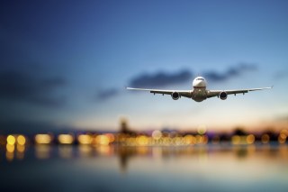 Taking Flight With Trippeo