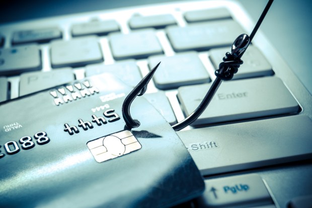 Fact Check: Is EMV Pushing Fraud Online?