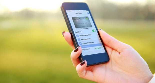 The Next October Mandate: Cardholder Transaction Alerts