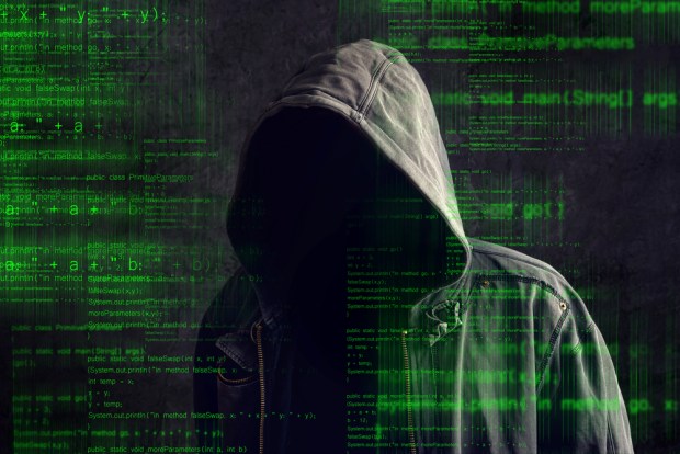 Hacker behind Gozi malware sentenced