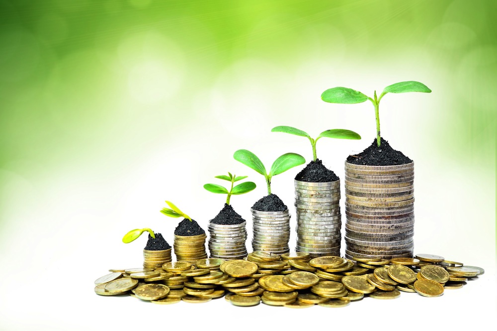 Investment Perks Up And Teckst Gets Seeded