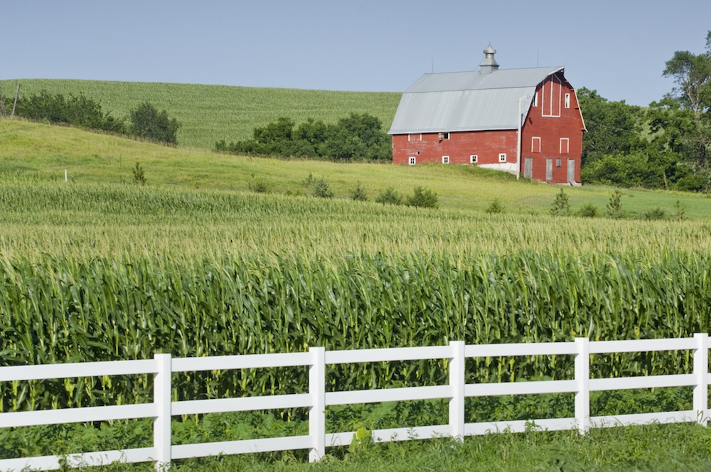 Primaries Hit Weakest Store Front Performance States