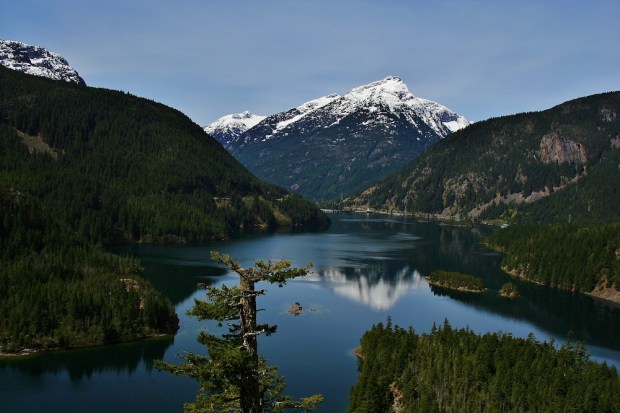 WA: Outpacing The Store Front Nation