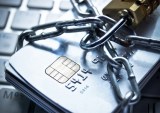 Chip Shield’s $20 Online Fraud Solution