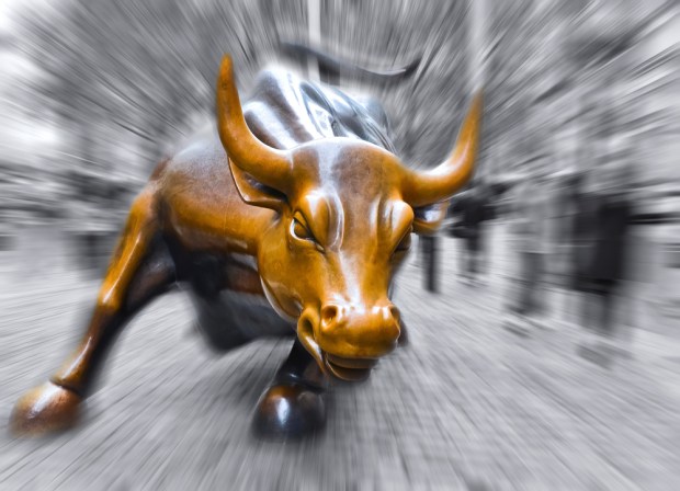 Stocks and Bull Run