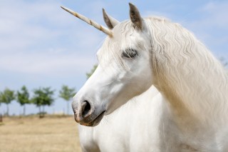 Unicorns Eye Public Markets, Leaving Anemic 2016 IPOs Behind