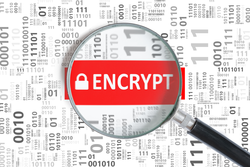 Bluefin Expands Visa Data Secure Platform Merchant Reach