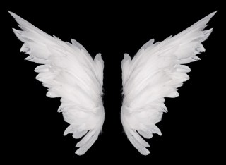 Wings And Lots Of Prayers