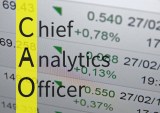 Analyzing The Analytics Officer