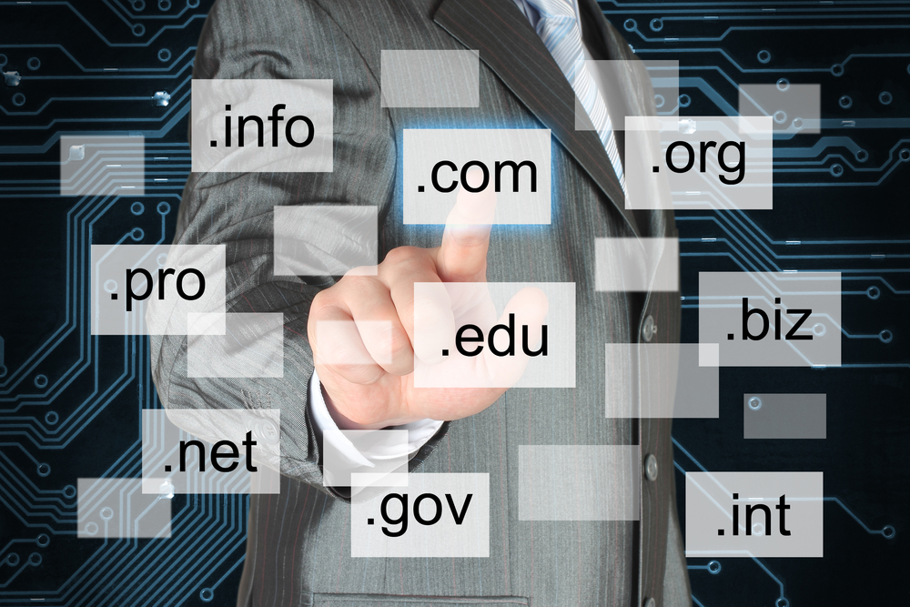 Instra And BlueSnap Ace Domain Name Trading