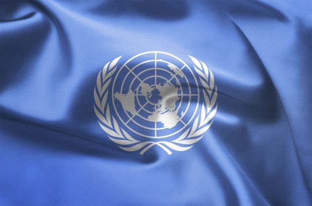 UN Looking For Bitcoin Gurus In Africa