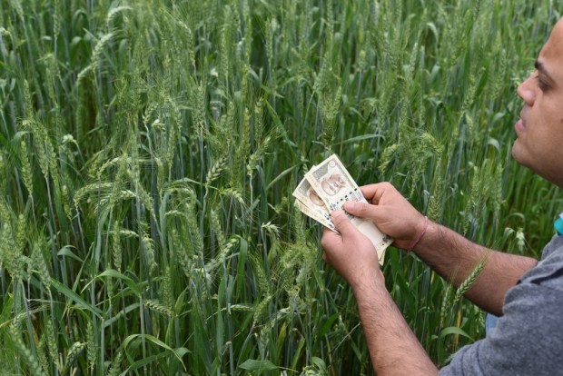 First National Bank Of South Africa Sets Up Business In Shipping Container