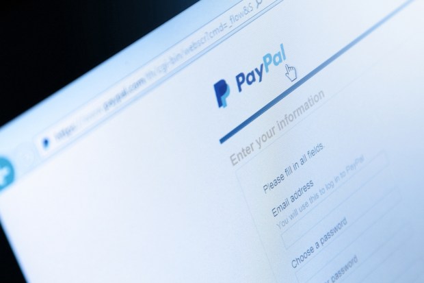 PayPal Ups B2B Payments Game With Xero