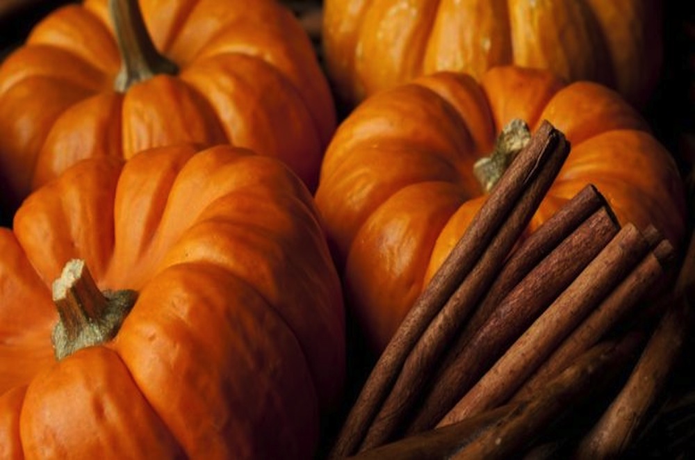 The Magic Of Pumpkin Spice