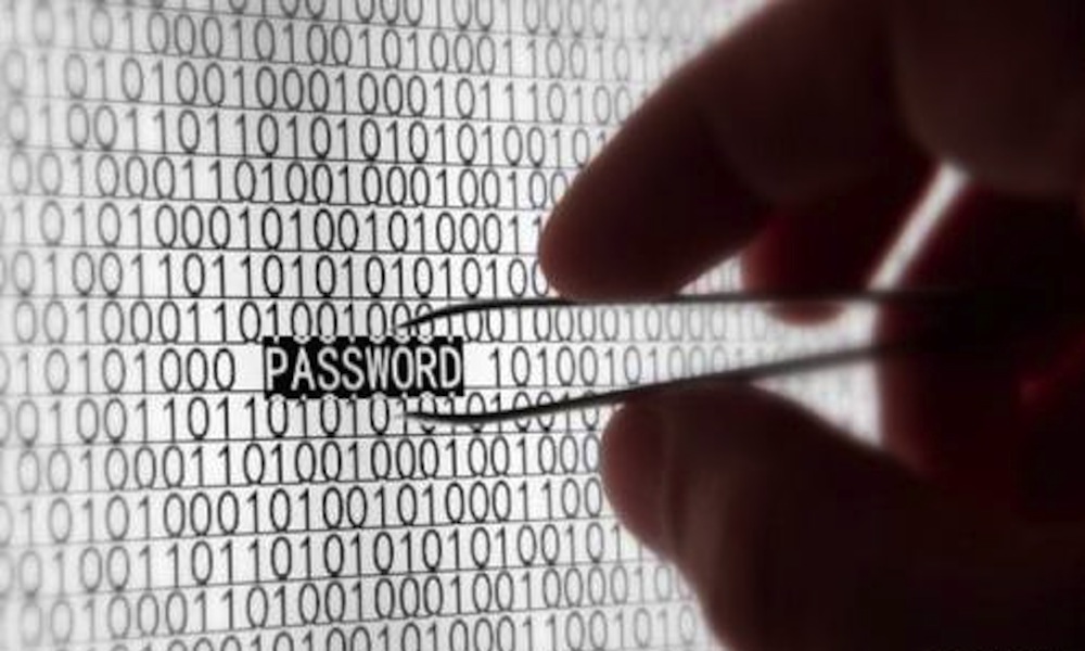 Password And Personal Data For 5.5 Million Employees At Top Firms Found Online