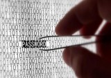Password And Personal Data For 5.5 Million Employees At Top Firms Found Online