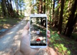 How Pokémon GO Became A Hacker’s Playground