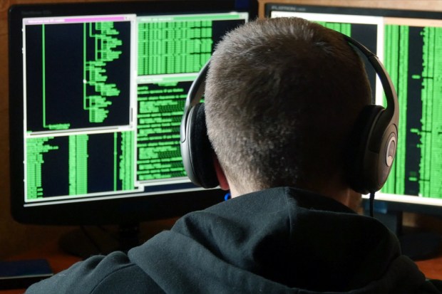 The True Face Of A Fraudster Mastermind