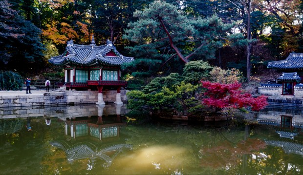 South Korea’s Young Startup Scene Is Growing Up Fast