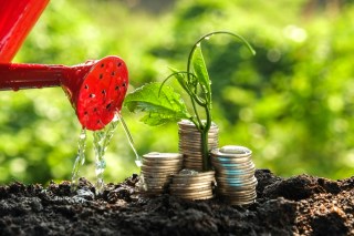 PYMNTS Daily Data Dive: Wayfair’s Q3 Growth