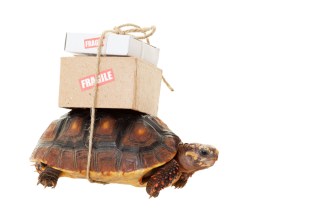The Real Cost Of Slow Delivery Options