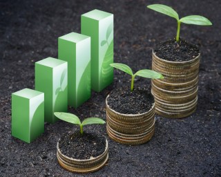 US Economy Shows Steady Growth