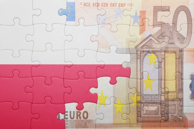 Global Cash Index: How Long Will King Cash Reign Supreme In Poland?