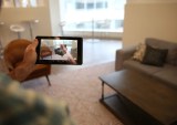 Wayfair Leads The Way With Facebook 3D Posts