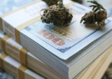 MassRoots Buys Pot Online Ordering Platform Whaxy
