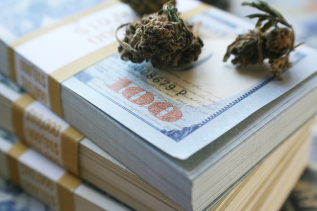 MassRoots Buys Pot Online Ordering Platform Whaxy