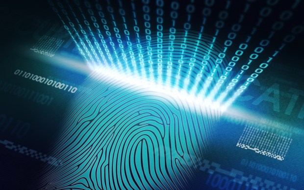 Payments Year Of Mobile Biometrics