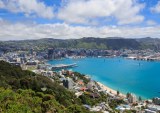 PYMNTS Daily Data Dive: Wellington’s 20%
