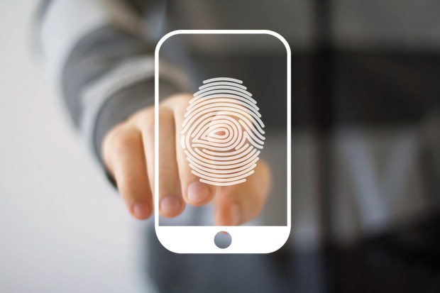 Ex-Biometrics CEO Arrested On Insider Trading