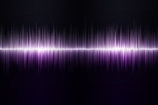 Bridging Speech and Loyalty with Voice Activated Rewards