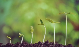 Voice Activated Tracker: Growth On The Horizon