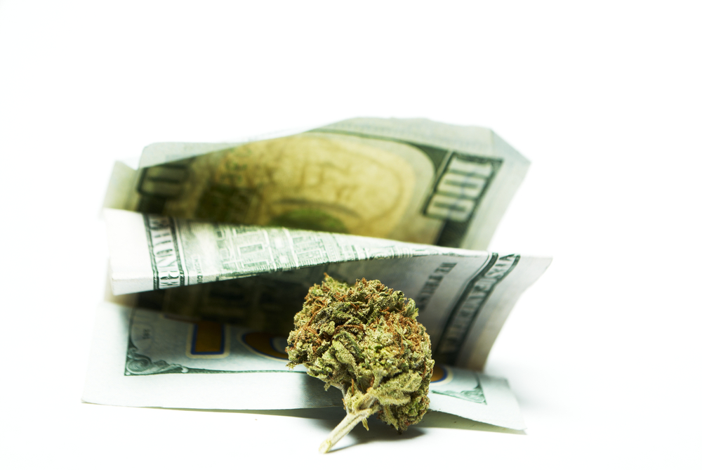 Senator Warren Wants More Banks Serving Legal Pot Businesses