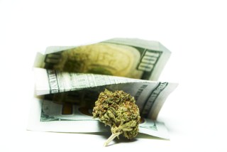 Senator Warren Wants More Banks Serving Legal Pot Businesses