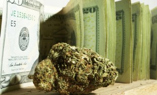 Killing The Cannabis Cash Cow