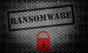 Android Malware Variant