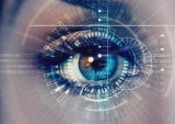 Eyeprinting Biometrics