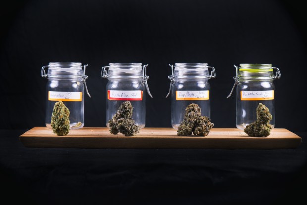 Cannabis Dispensary SaaS Provider Baker Technologies Raises $3.5M