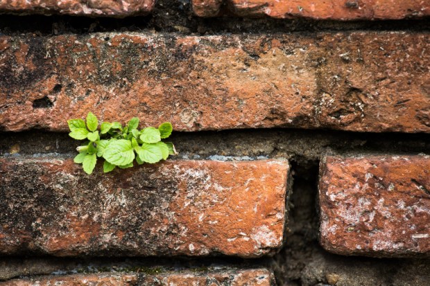 Retailers Miss Out On $150B From Lack Of Personalization